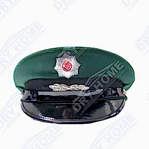 sap-671fa7.jpg