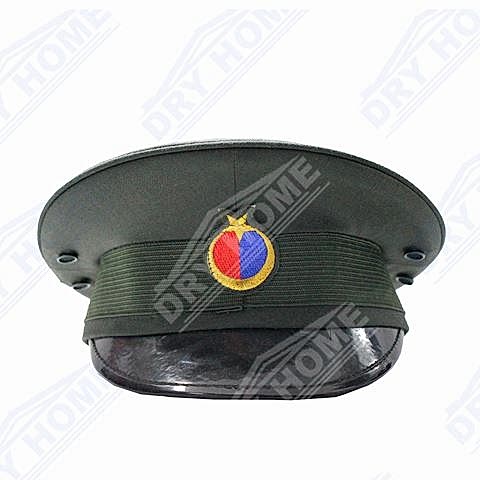 sap-6d9f78.jpg